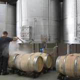Bodega Casalobos