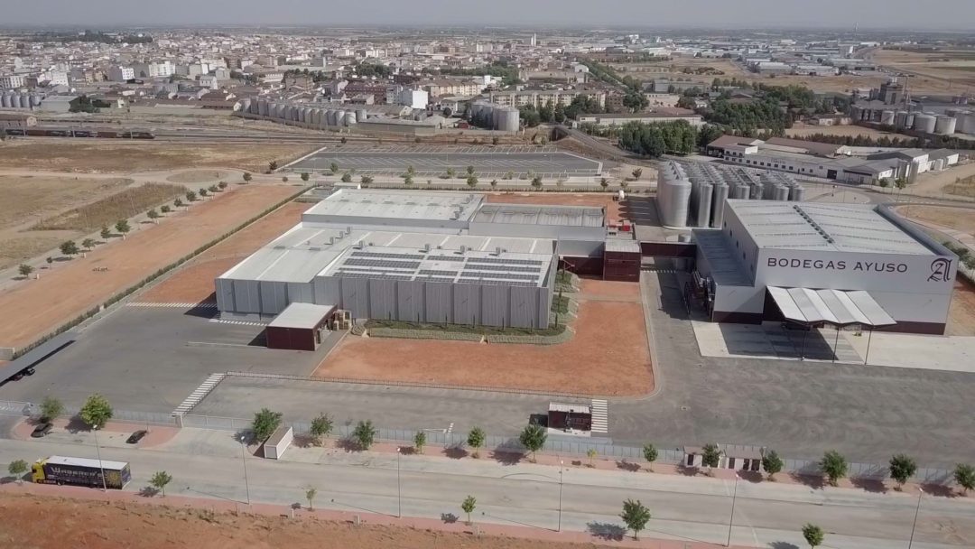 Bodegas Ayuso