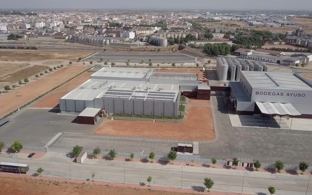 Bodegas Ayuso